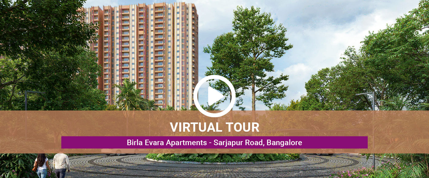 Virtual Tour